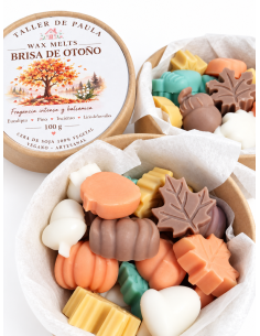 Wax Melts Brisa de Otoño (Vaso Eco.) 2
