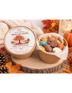 Wax Melts Brisa de Otoño (Vaso Eco.)
